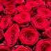 101 красная роза в корзине