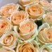 Букет из 25 кремовых роз (70 см)